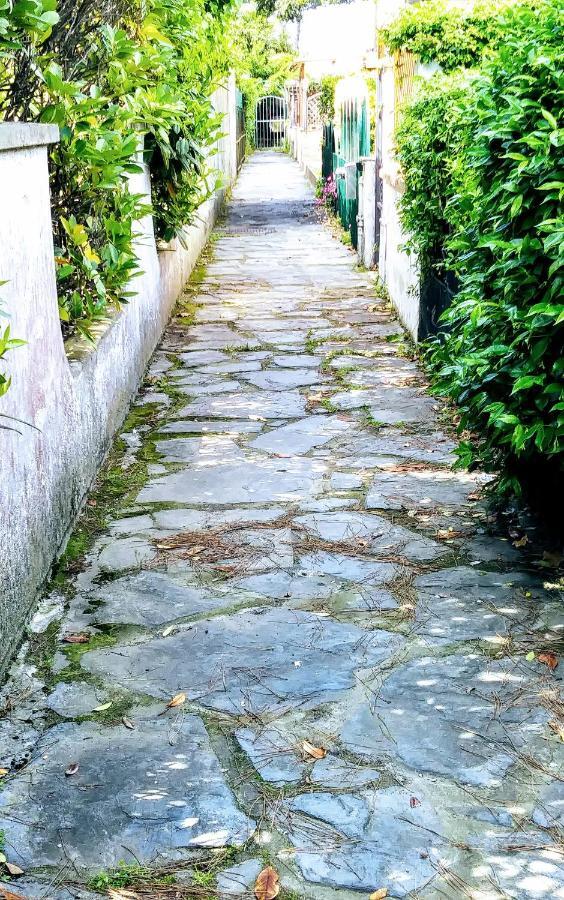 Villa Casa Tonfoni Torre del Lago Puccini Exterior foto